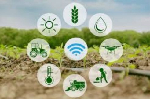 IoT Agricultural applications