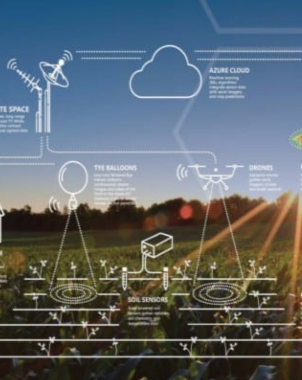 Smart Agriculture IoT application